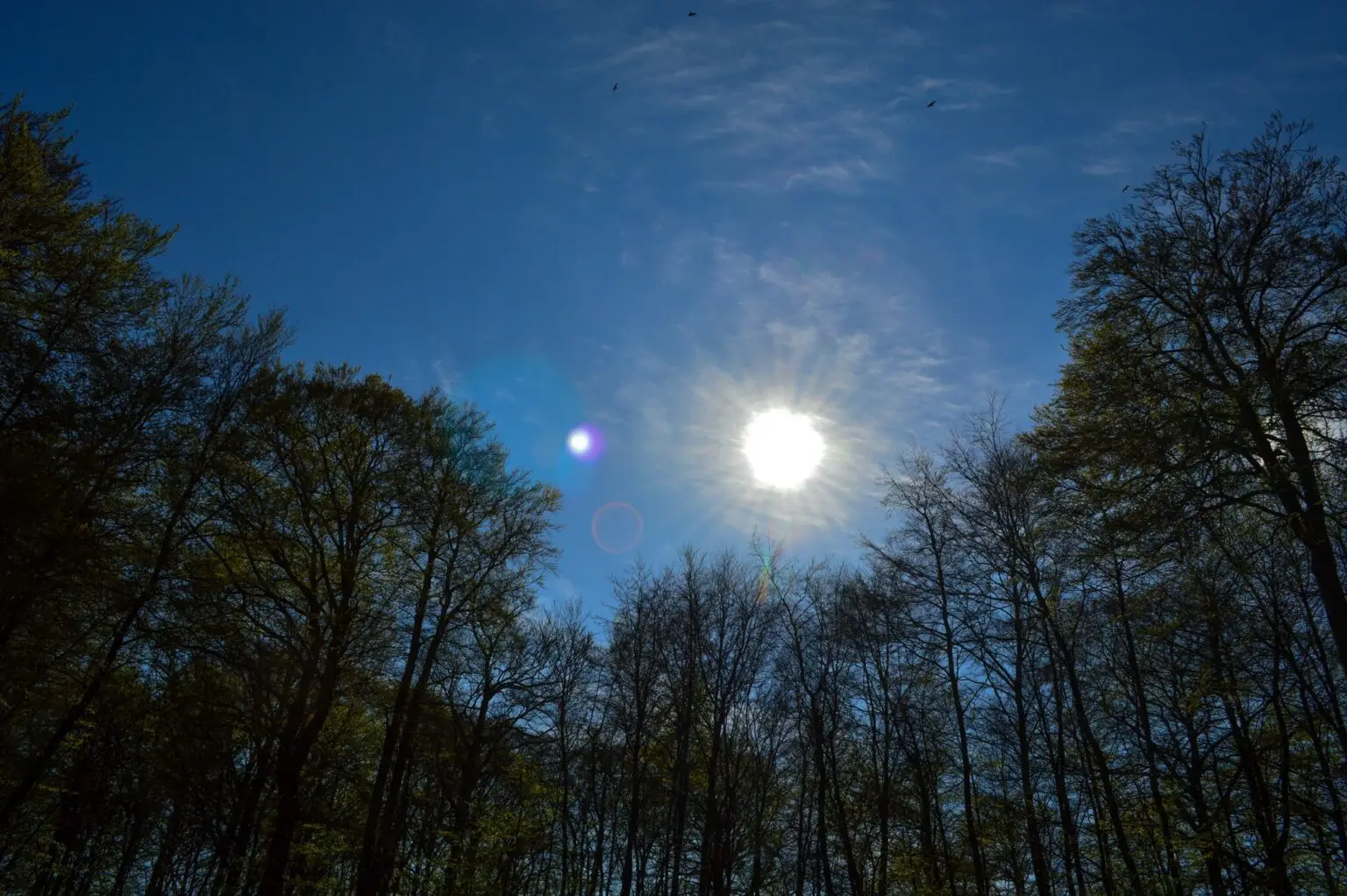 Billede af himlen med skær fra solen