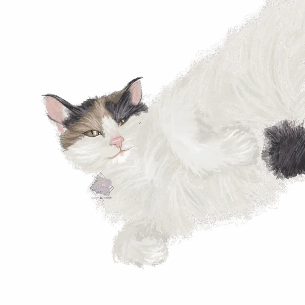 Illustration af langhåret kat