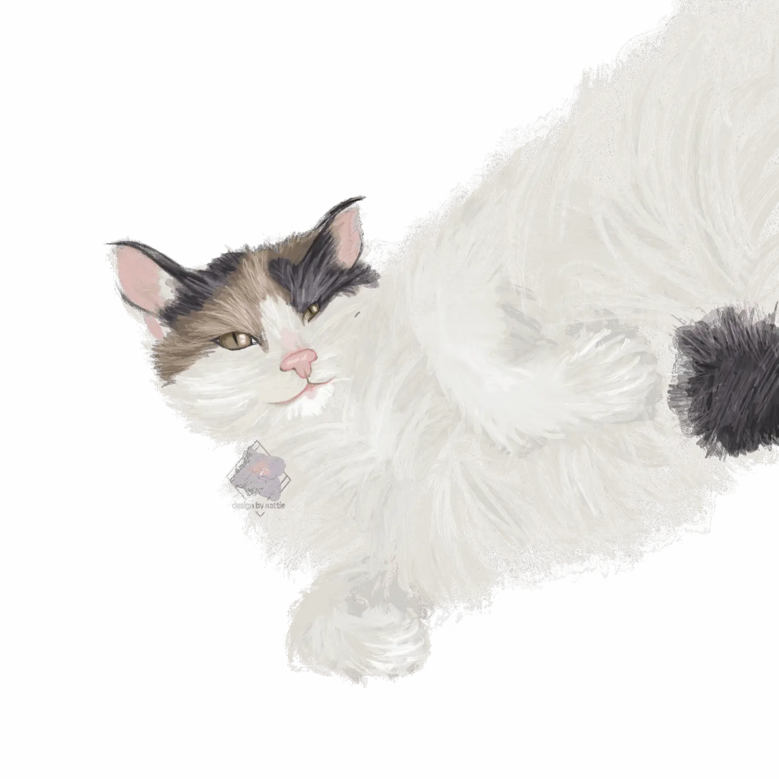 Illustration af langhåret kat